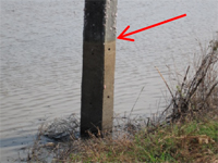 Rice field: Traces of the flood. Now, water level is reduced.