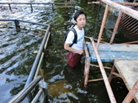 Collected water samples in front of Wiphawadi Hospital